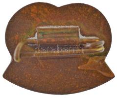 1984. "Borsodi Vegyi kombinát bronz fokozatú törzsgárda-jelvény" műgyantás bronz kitűző né...