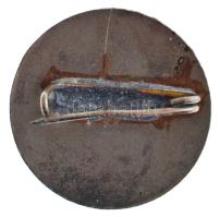 ~1970. "Társadalmi munkáért - Budapest XVI. kerületi tanács" ezüstözött, zománcos jelvény ...