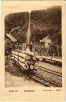 Kovászna, Covasna; Funicular / sikló, faszállító iparvasút / funicular, timber transporting, industrial railway (fl)