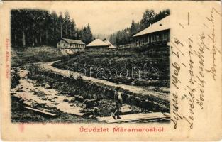 1906 Tótosbánya, Totos (Budfalva, Budesti, Máramaros); Zserampó völgy. Berger Miksa kiadása / valley (Rb)