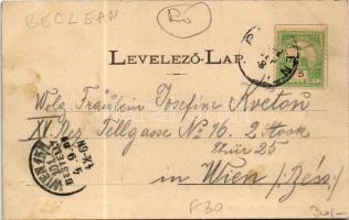 1901 Bethlen, Beclean; Bethlen Pál gróf kastélya és park. Kajári István kiadása / castle park (EK)