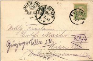 1903 Fogaras, Fagaras; Apaffy (Apafi) fejedelem kastélya a XIV. századból. Fleissig Jakab kiadása / ...