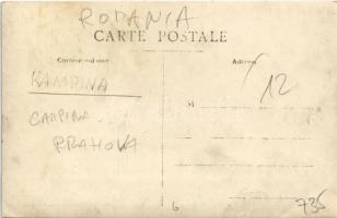 Campina, bridges. Foto Olteanu, photo (EB)