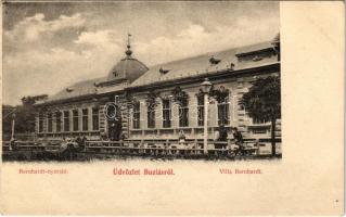 Buziás-fürdő, Baile Buzias; Bernhardt nyaraló / Villa Bernhardt / spa, villa (EK)