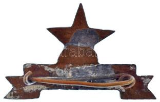 ~1950. "Éltanuló" műgyantás bronz jelvény (30x20mm) T:2