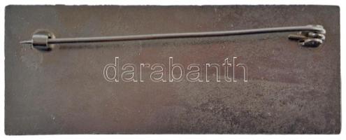 1971. "INTERPRETER (Tolmács)" a Vadászati Világkiállítás műgyantás fém résztvevői jelvénye...