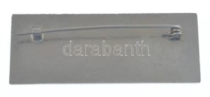 1971. "INTERPRETER (Tolmács)" a Vadászati Világkiállítás műgyantás fém résztvevői jelvénye...