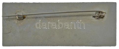 1971. "INTERPRETER (Tolmács)" a Vadászati Világkiállítás műgyantás fém résztvevői jelvénye...