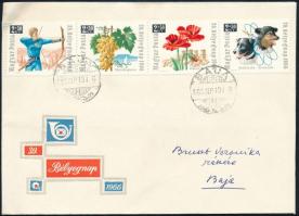 1966