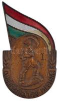 ~1950-1960. A turisztika ifjú mestere I. zománcozott bronz jelvény (50x28mm) T:2