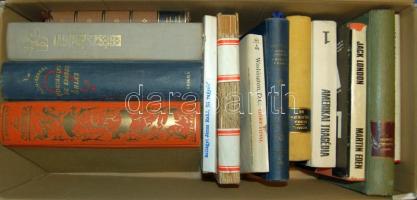 Könyv tétel papírrdobozban, kb 20 szépírodalmi mű