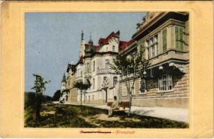 1911 Brassó, Kronstadt, Brasov; utca, villa / street view, villa (EB)