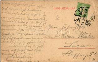 1910 Nagyszeben, Hermannstadt, Sibiu; Schewis utca. 617. / Schewisgasse / Strada Schewis / street vi...