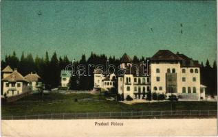 1924 Predeál, Predeal; Palace szálloda / hotel, spa, villa (EK)