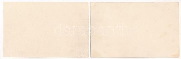 Budapest. Dunai panoráma az épülő felállványozott Erzsébet híddal - két részes panorámalap szétszaka...