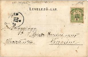 1905 Moha (Székesfehérvár), családi fotó kisbabával. photo