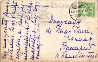 1911 Szentkatolna, Catalina; kastély kert kutyával / castle garden. photo