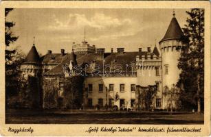 Nagykároly, Carei; Gróf Károlyi István honvédtiszti fiúnevelő intézet (Károlyi kastély) / Hungarian military institute for boys (castle) (EK)