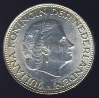 Hollandia 1966. 2 1/2G Ag "Julianna" T:2