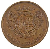 Lebó Ferenc (1960-) DN "Szent László érem / Győr város címere" kétoldalas bronz emlékérem ...