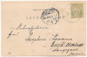 1903 Feketeerdő, Padurea Neagra (Élesd, Alesd); üveggyár, Magasslak, Csernahora / glass factory, vil...