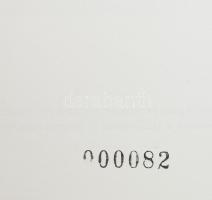 Köszöntés. R. Várkonyi Ágnes professzor asszonyt jubileumi születésnapján köszöntik a szülővárosa és...