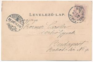 1899 (Vorläufer) Marosvásárhely, Targu Mures; Bem szobor, Fő tér. Temesvári M. / statue, main square...