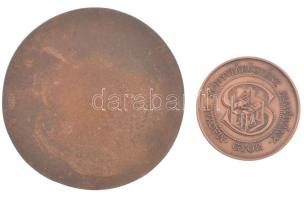 Lebó Ferenc (1960-) DN "Magyar Könyvtárügyért Alapítvány - Győr" kétoldalas bronz emlékére...