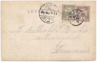 1902 Anina, Stájerlakanina, Steierdorf; vasgyári munkáslakások / workers colony of the factory. phot...