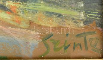 Szinte Gábor (1928-2012): Park este. Olaj, vászon, jelzett. Hátoldalán Képcsarnok Vállalat címkéjéve...