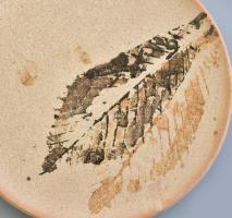 Süteményes készlet. Magyar iparművész. hat személyes, kézzel festett, jelzés nélkül, hibátlan