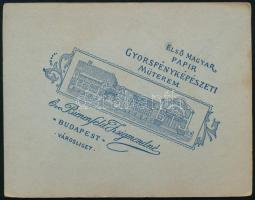 cca 1910-1920 Lány virággal, kartonra kasírozott műtermi portré özv. Bienenfeld Zsigmondné városlige...