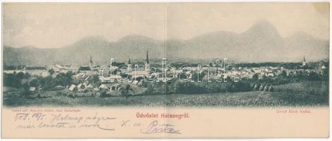 1908 Hátszeg, Hateg; Honisch fényképész felvétele, Groszek Károly kiadása. 2-részes kinyitható panorámalap / 2-tiled folding panoramacard (EK)