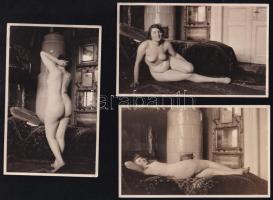cca 1920 Akt sorozat egy modellről polgári enteriőrben 5 db fotó 14x9 cm