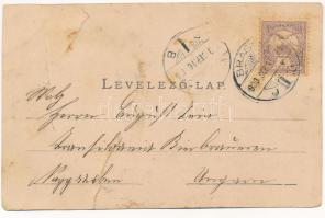 1900 Brassó, Kronstadt, Brasov; Árpád emlék. W. Hiemesch kiadása / monument. Art Nouveau, floral (sz...