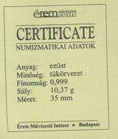 DN "A magyar nemzet pénzérméi - Névérték megjelenése magyar pénzen" Ag emlékérem 10g T:PP ...