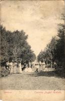 1909 Sugásfürdő, Baile Sugas (Sepsiszentgyörgy, Sfantu Gheorghe); Bölöni út. Gyulai F. felvétele / holiday resort's road (Rb)