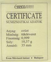 DN "A magyar nemzet pénzérméi - Szent István és az első magyar pénz" Ag emlékérem 10g T:PP...