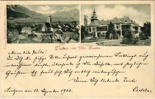 1900 Liezen (Steiermark), mit Villa Dumba / general view, villa (EB)
