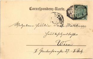 1900 Liezen (Steiermark), mit Villa Dumba / general view, villa (EB)