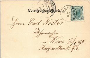 1901 Volders (Tirol), Gasthaus Jäger / inn, restaurant, guests and waitresses. Verlag Otto Schuricht...