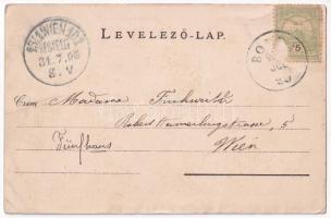 1903 Csene, Tschene, Cenej, Cenei; Uzbasich villa / villa (Rb)