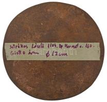 Sztrákos László (1954-) DN "Giotto di Bondone: Júdás csókja" című festménye alapján készül...