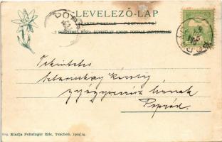 1904 Tátrafüred, Ótátrafüred, Altschmecks, Stary Smokovec (Tátra, Magas Tátra, Vysoké Tatry); Sétaté...