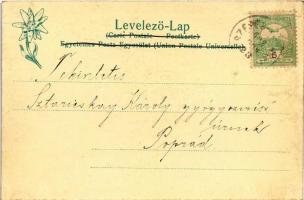 1903 Tátrafüred, Ótátrafüred, Altschmecks, Stary Smokovec (Tátra, Magas Tátra, Vysoké Tatry); szállo...