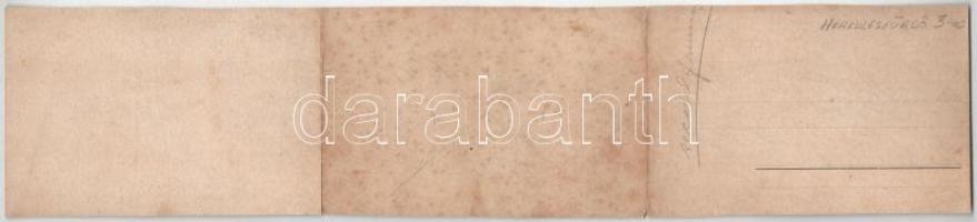 Herkulesfürdő, Baile Herculane; 3-részes kinyitható panorámalap / 3 -tiled folding panoramacard (vág...