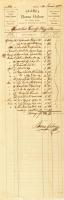 1880 Hátszeg (Hateg / Hatzeg), Borza Gábor vas, fűszer, festék, gyarmat és nürenbergi áru üzlete, fejléces számla, saját kezű aláírással, 47x15,5 cm