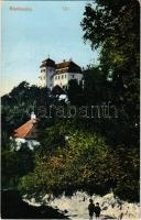 1909 Alsólendva, Alsó-Lendva, Dolnja Lendava; vár. Balkányi Ernő kiadása / castle (EK)