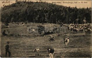 1922 Stájerlak, Steierlak, Stájerlakanina, Steierdorf, Anina; Buhuj hegy és Hal tó, legelő szarvasmarhák, autó. Scheitzner Ig. / mountain, cattle, automobile (EK)