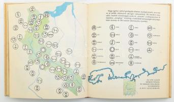 László Gyula: Hunor és Magyar nyomában. Bp., 1967, Gondolat. Kiadói kartonált papírkötés, kissé folt...